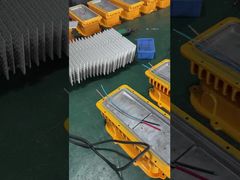 Посмотреть заводы Светодиодное взрывозащищенное освещение Выделить светодиодные бусины Демонстрация