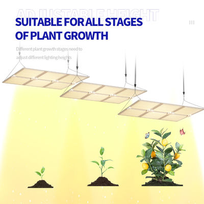 600 Вт светодиодный свет полного спектра с гасимой функцией для оптимального роста растений