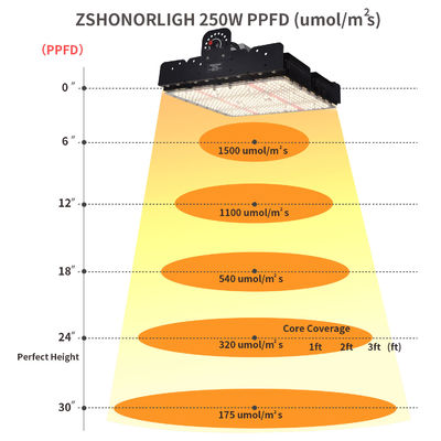 Полный спектр T5 светодиодный свет для растений 250w