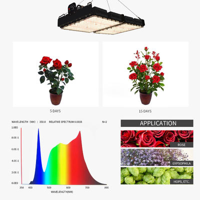PPFD Reading Led Grow Light Lamps For Indoor Plants NR Specturm (Ледирующие светодиоды для растений в помещениях)