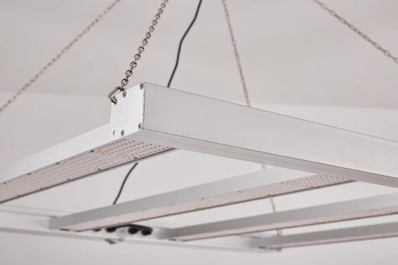 800 Вт светодиодный свет полного спектра с IP65 водонепроницаемым для коммерческого роста растений