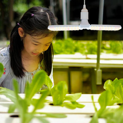 Компактный светодиодный свет для роста растений с полным спектром + 660 нм и водонепроницаемым IP68 для роста растений в помещениях