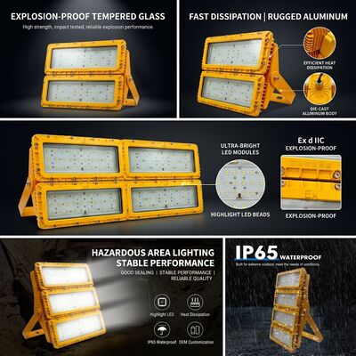 IP65 Противоморозный 600W светодиодный взрывозащитный светодиодный светодиодный светодиод -40C/60C LUMILEDS LM-80 ATEX IIb T6 WF2