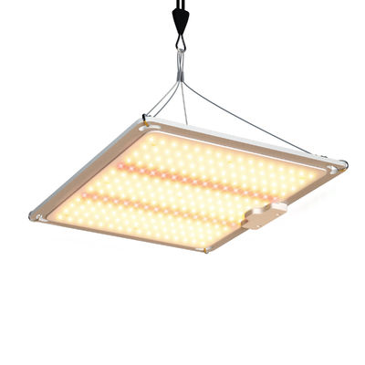 600w HPS 4x4 Grow Light Лампа растений способствует цветению и плодоношению