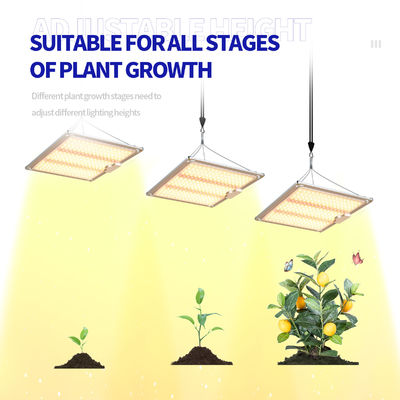 600w HPS 4x4 Grow Light Лампа растений способствует цветению и плодоношению