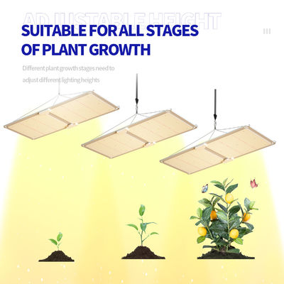 200w LED T5 Grow Lights Система освещения теплиц