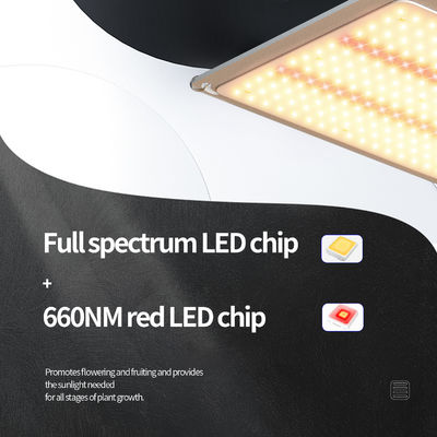 200w LED T5 Grow Lights Система освещения теплиц