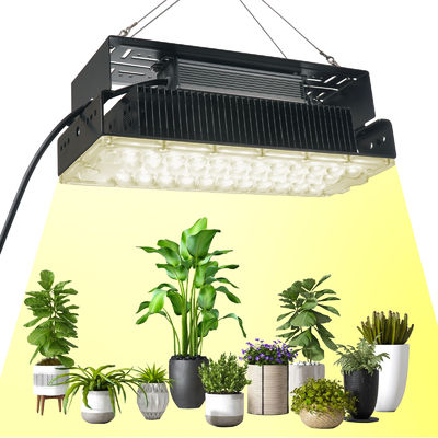100w Внутренний 5x5 Растительный свет для внутренних садовых сочных растений SMD3030