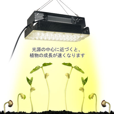 100w Внутренний 5x5 Растительный свет для внутренних садовых сочных растений SMD3030