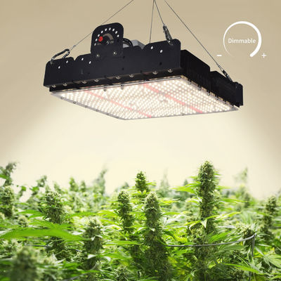 Полный спектр T5 светодиодный свет для растений 250w
