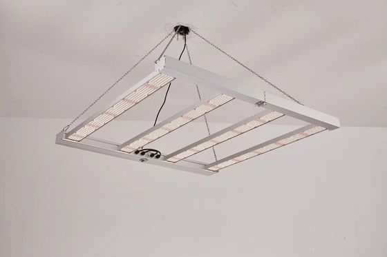 Свертываемый 4T LED Grow Light 600W 800W для коммерческих целей